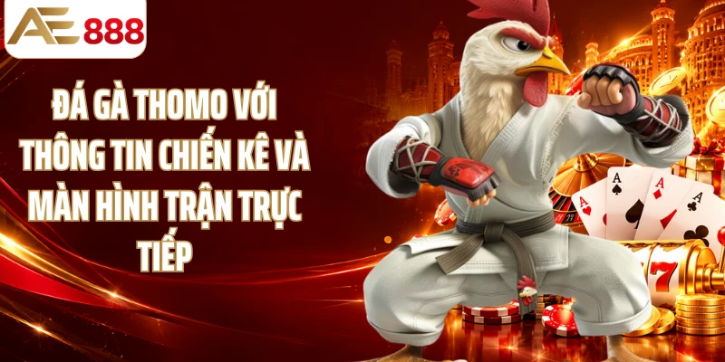 Đá gà Thomo với thông tin chiến kê và màn hình trận trực tiếp