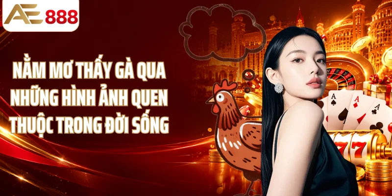 Nằm mơ thấy gà qua những hình ảnh quen thuộc trong đời sống
